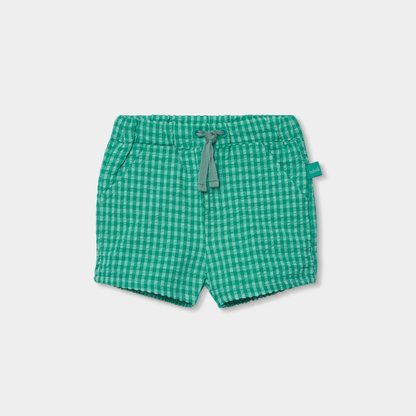 Conjunto de T-shirt e Calções Gato Verde