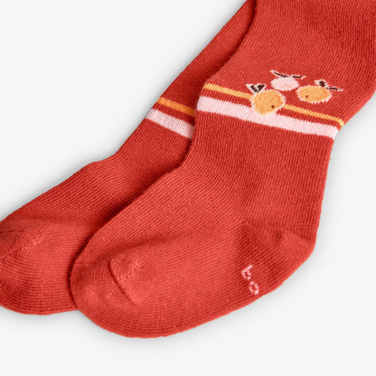 Collants Laranja com Desenhos de Frutas